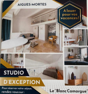 LE BLANC CAMARGUE - STUDIO DANS LES REMPARTS 45m2 AVEC CLIM